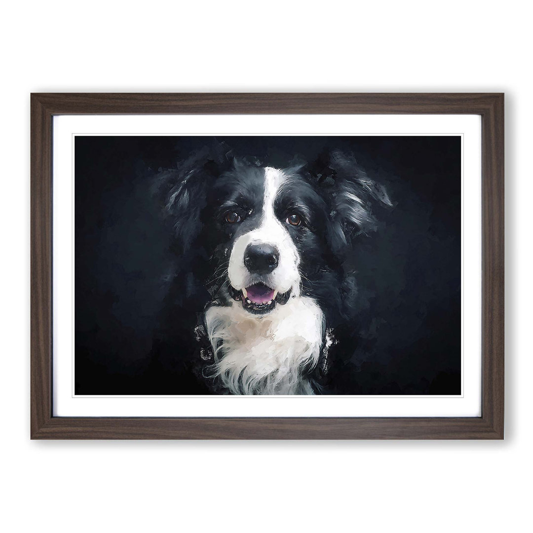 Portrait of a Border Collie Dog in Abstract - Picture Frame Painting Print