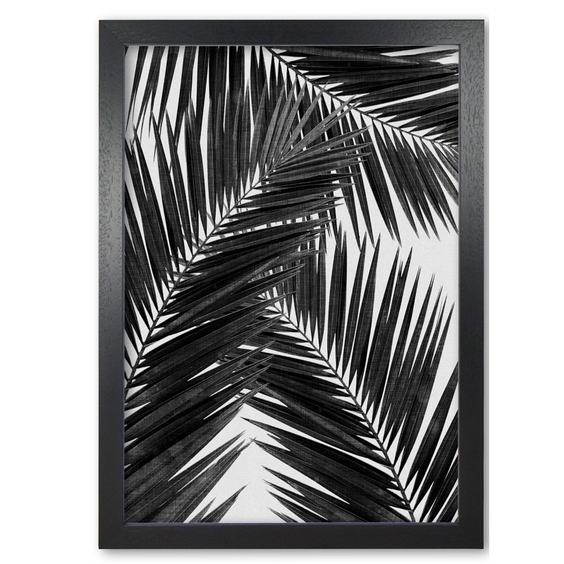 PaIm Leaf III - Print, 85 cm H x 60 cm W x 5 cm D, Black, Black Grain Frame