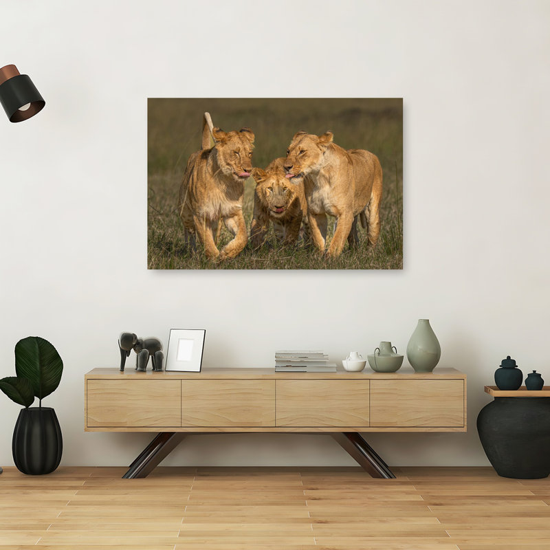 Print, 101.6cm H x 152.4cm W