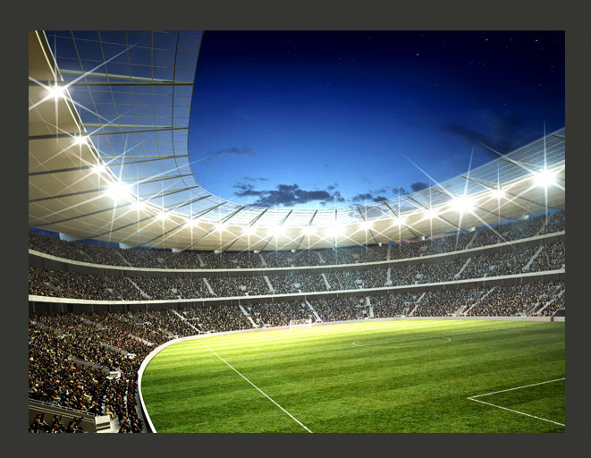 Stadium 231cm x 300cm Wallpaper