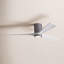 Irene LED Ceiling Fan-24425153-98977015-99192944