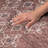 Premium Machine Washable Dream Shag ADS109 Tribal Rug-123098952-123098944