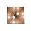 Rustic Lodge 2 - Light Pendant