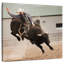 Rodeo taureau Brampt Cowboy-109391151