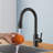 Pull Down Single Handle Kitchen Faucet with Accessories-67228732