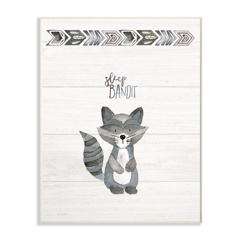« sleep bandit », art encadré Farrel, H 18,5 po x l 12,5 po x P 0,5 po, Toile tendue