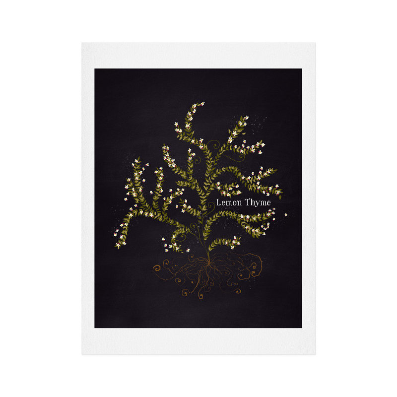« herb jardin citron thyme », impression, H 14 po x l 11 po x P 0,13 po