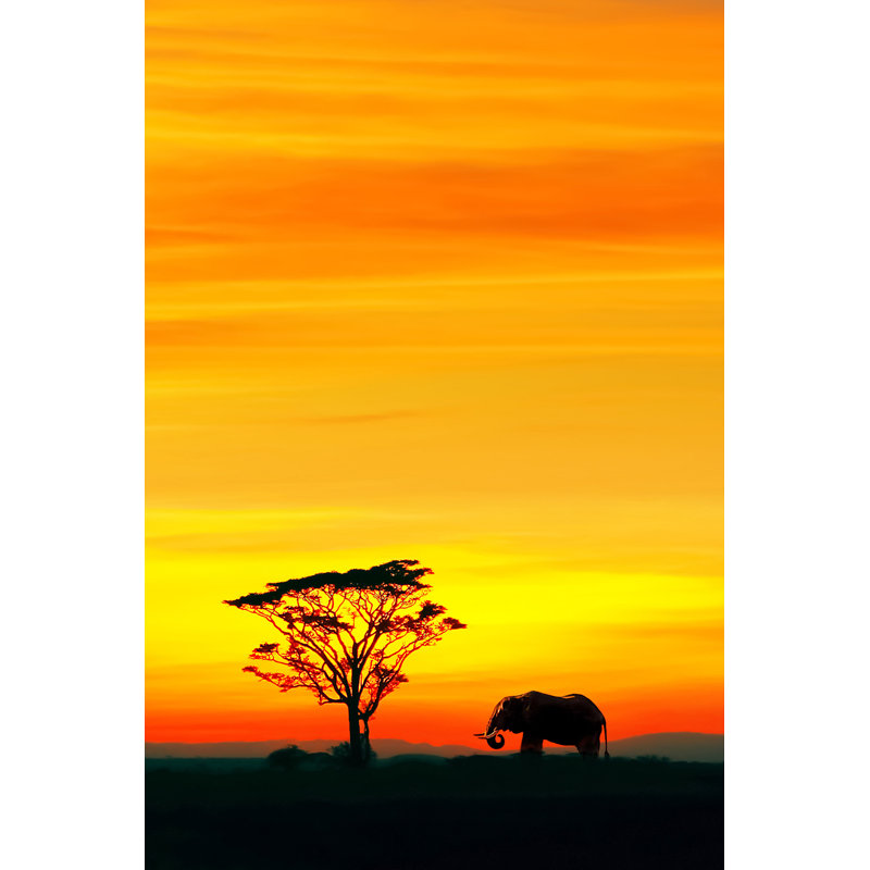 African Elephant by Delbars - Wrapped Canvas Print, 122cm H x 81cm W