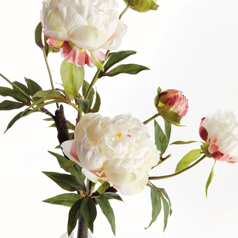 Pivoine Realistic Faux Peony Branch 25 in. in Cream, Cream