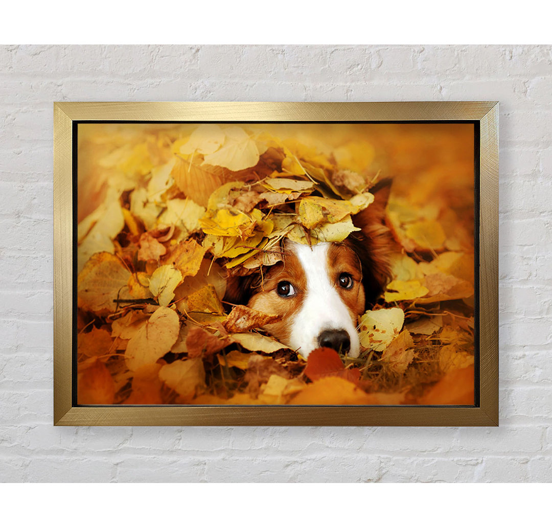 Hund im Herbstlaub - Einzelner Bilderrahmen Kunstdrucke