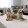 Schnabel Solid Colour Area Rug