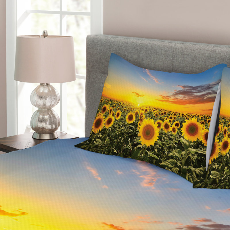 East Urban Home Bedspread with Pillow Shams, 220 x 264 cm