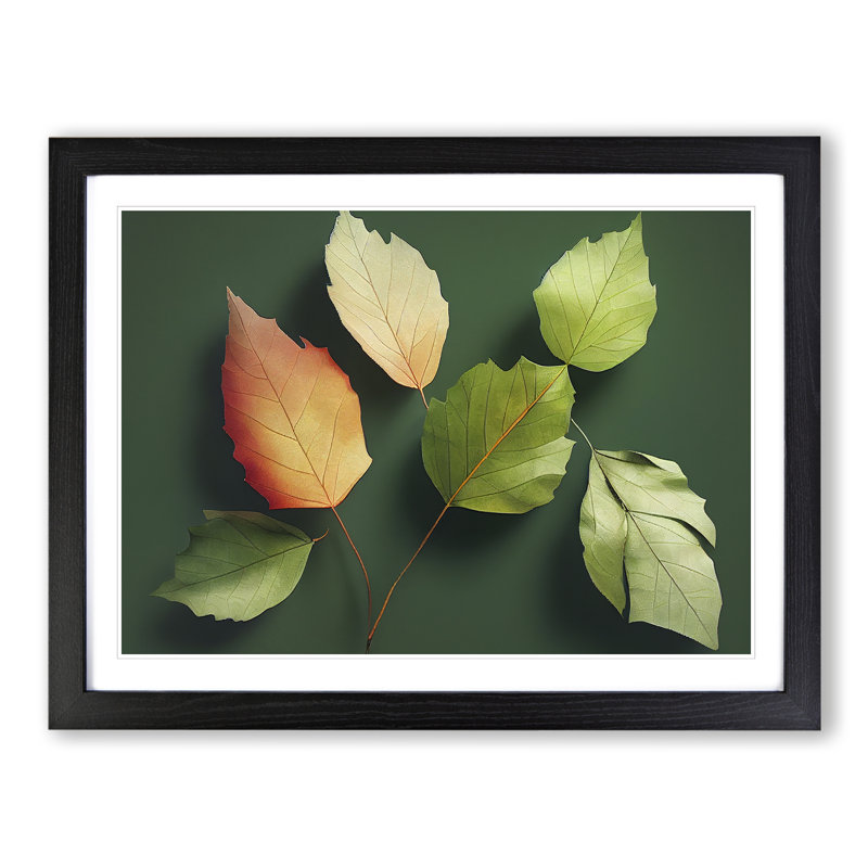 The Garden Leaves - Single Picture Frame Print, Black, 46cm H x 64cm W