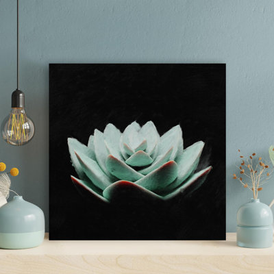 «A Succulent Plant Under Light», reproduction d'art graphique sur toile tendue 1 pièce