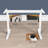 Dual Motor Electric Standing Desk Frame With Adjustable Height, 3 Memory Settings, And Quiet Operation For Home Or Office Workstation