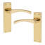  Scroll Astrid Door Handles Latch