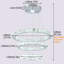 Malena 3 - Light Crystal LED Chandelier-397105690