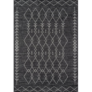 Indoor & Outdoor Area Rugs You'll Love | Wayfair