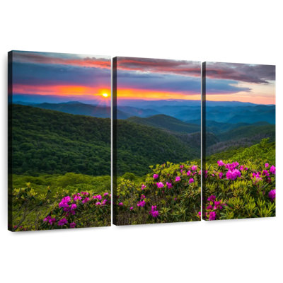 Alvord Blue Ridge Flowers
