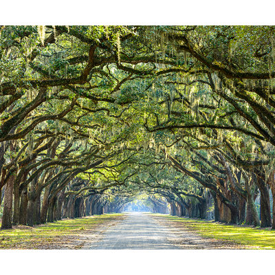 Wall Mural