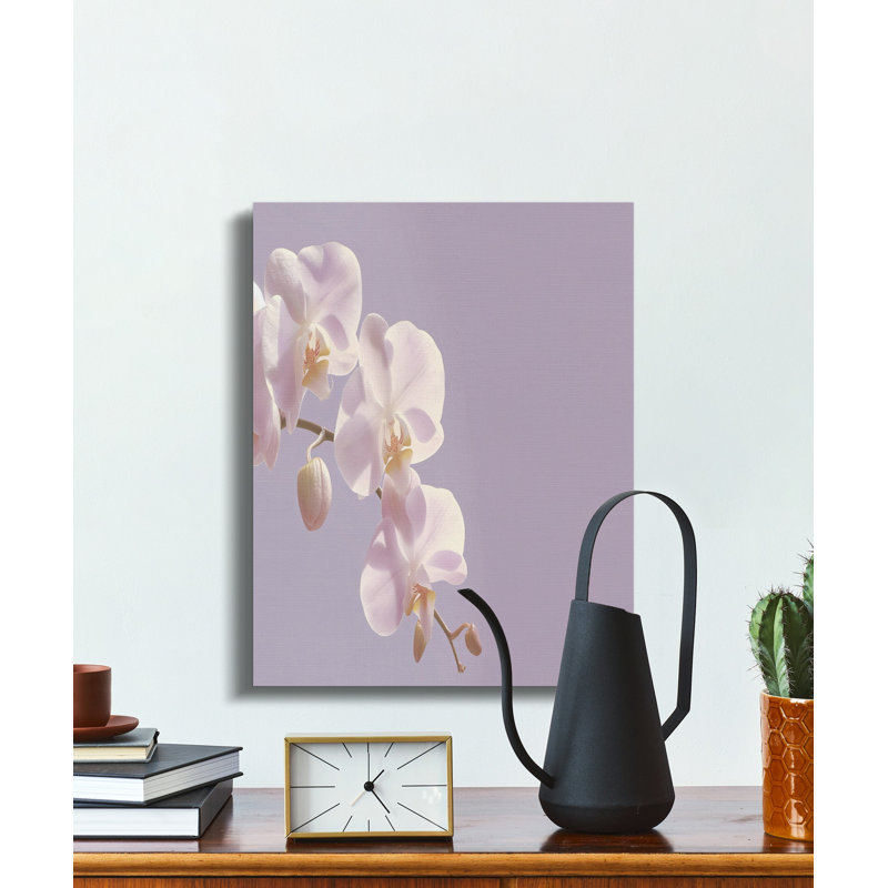 Ferree Wrapped Canvas Print Set, 16x24