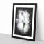 A Single Purple Flower - Picture Frame Graphic Art Print-56856873-56856877
