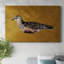 Toile tendue I-Gallery Feathered Friend-26858542
