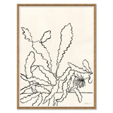 Sedum Giclee Print by Susan Hable