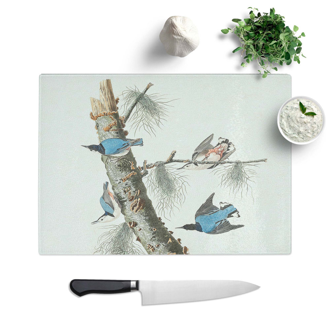 Tempered Glass Nuthatch Birds by John James Audubon Chopping Board