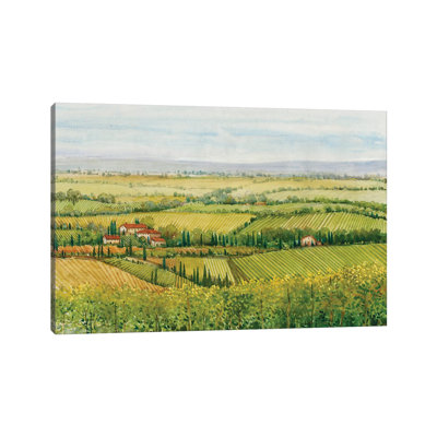 Wine Country View I by Tim OToole - Wrapped Canvas Painting