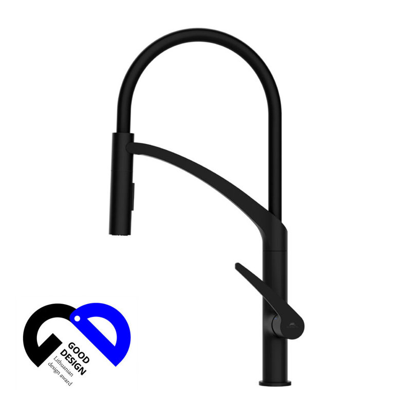 Ivy Bronx Barreau Pull Down Kitchen Faucet, Black