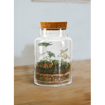 Glass Table Vase