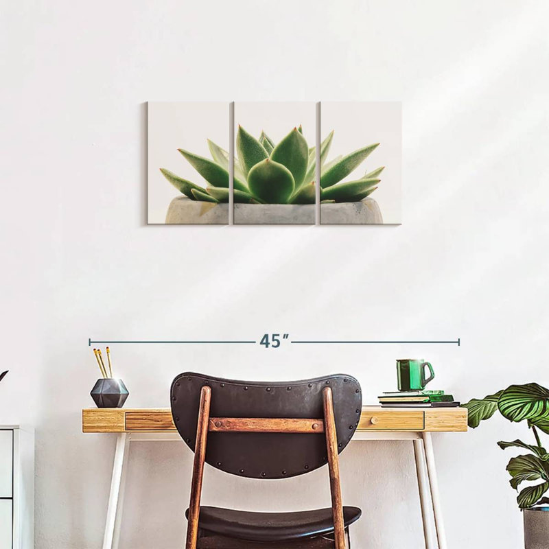 Plante grasse Harnek Stone Pot, H 15 po x l 32 po