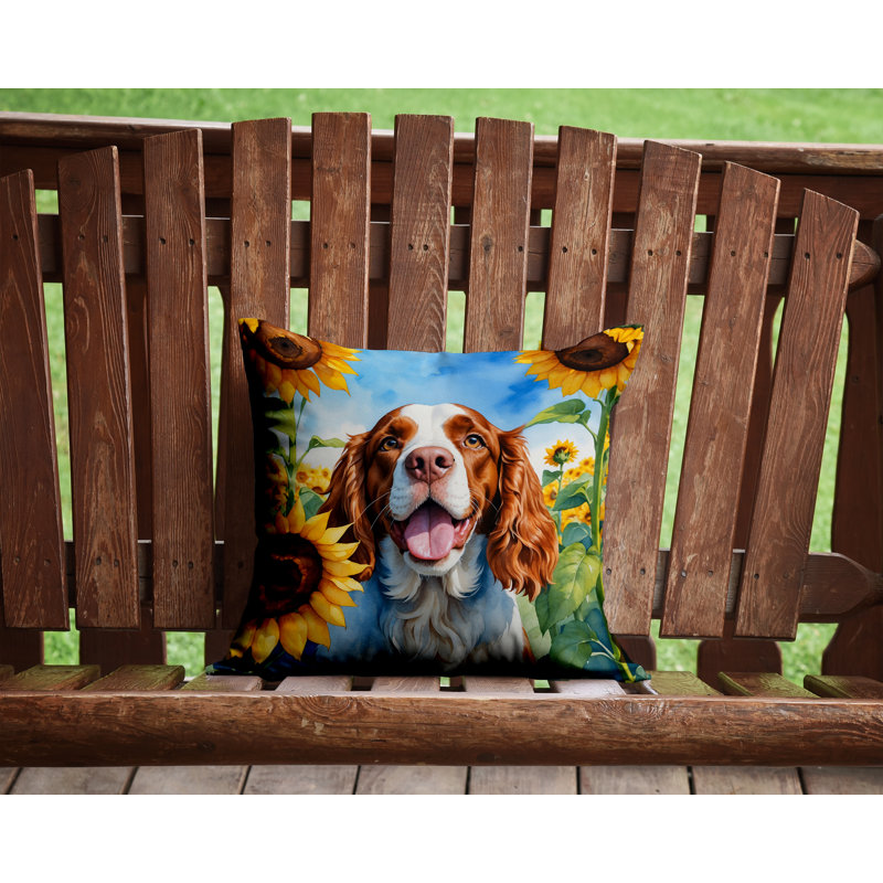 Other/No Pattern Outdoor Throw Pillow, 14"H x 14"W