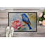 Tapis d'entrée extérieur antidérapant Rahming Bluebird-429705972