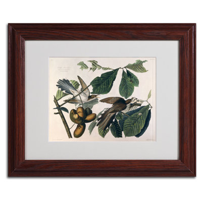 « yellow-billed coucou » par john james audubon, reproduction d’art encadrée