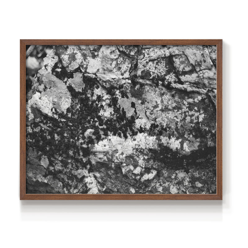 Found Textures XX - Reproduction encadrée - Restickable, H 11 po x l 14 po, Noyer