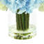 Hydrangeas Arranged in Clear Glass Vase-1541245387
