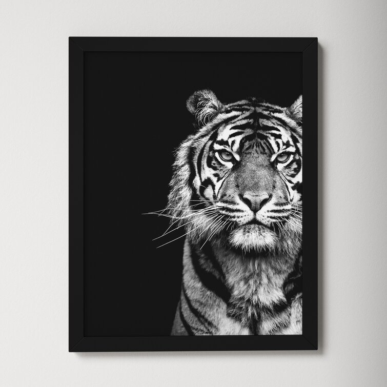 Premium Photo  Portrait of a tiger on black background generative