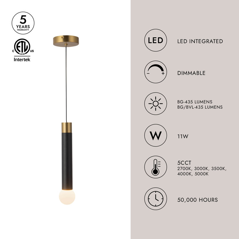 1 - Light Pendant, Brushed Gold