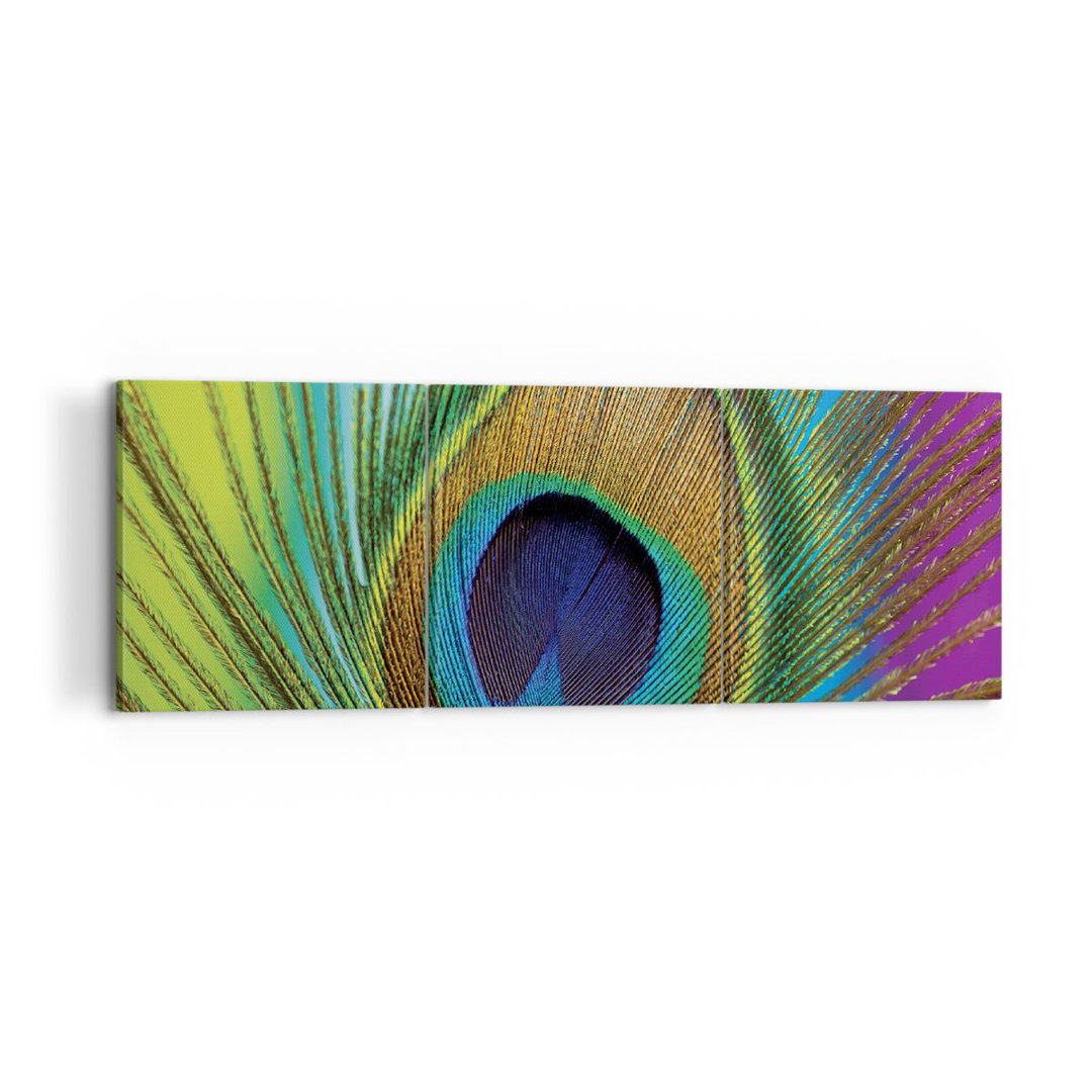 3-tlg. Leinwandbilder-Set Peacocks Feather Rainbow