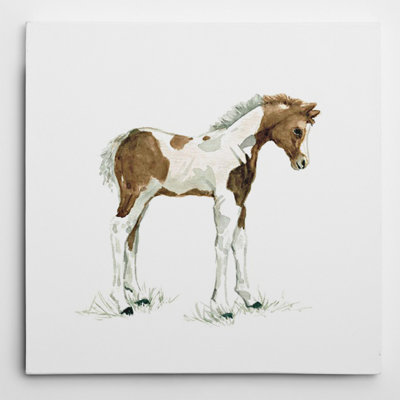 " Baby Colt " by Carol Robinson