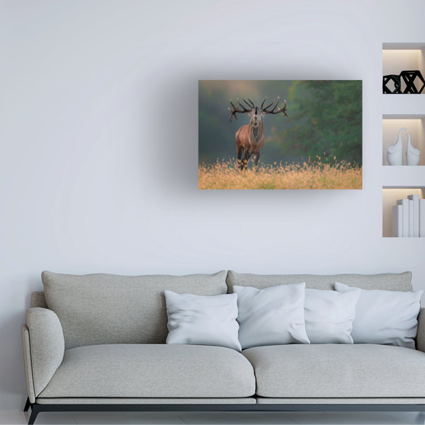 Millwood Pines Jure Kravanja Deer Wedding Song On Canvas Print | Wayfair