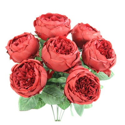 Buisson de roses en pleine floraison