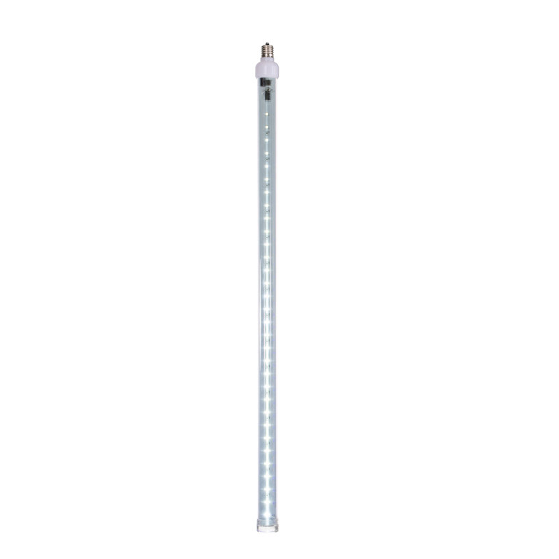 Ampoule à tube de neige