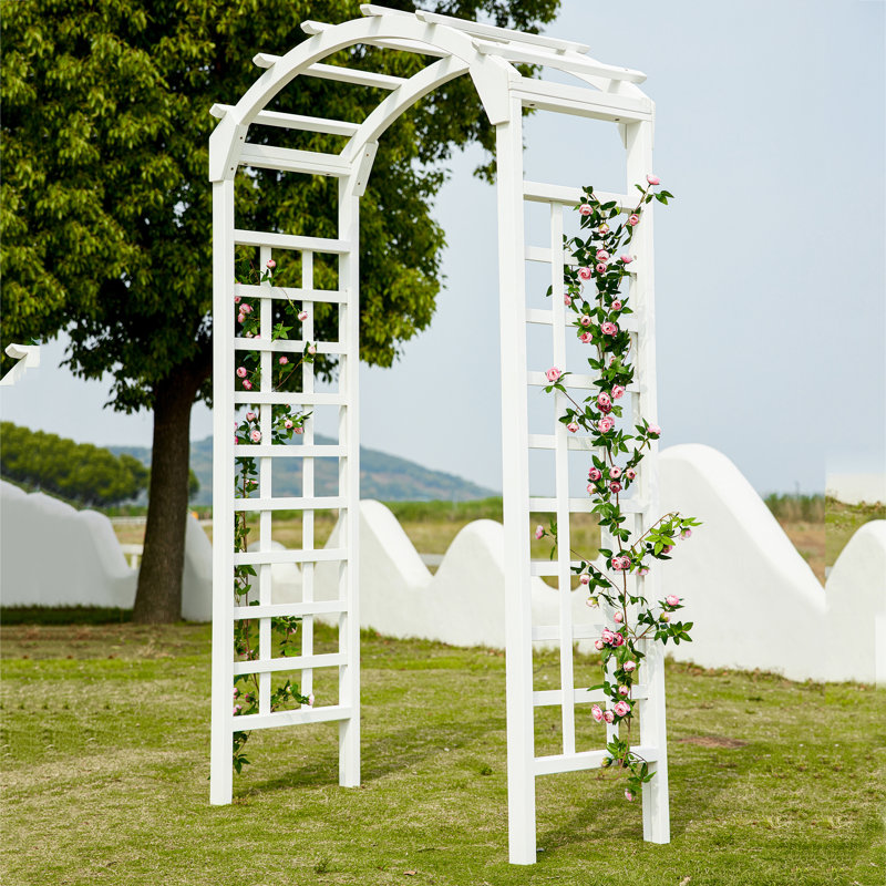 Mimose 47“ W x 19" D Solid Wood Garden Arches Arbor Arch, White
