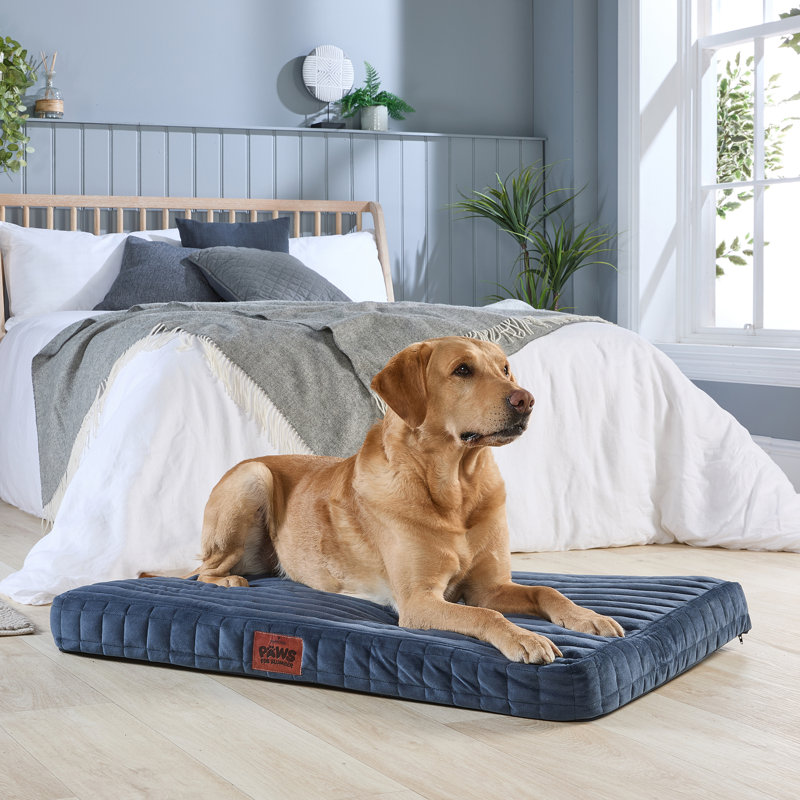 Slumberdown Orthopaedic Firm Support Crate Mattress Pet Bed, Blue, 100cm H x 70cm W x 9cm D