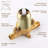 All-In-One Kit with Rough in-Valve-110600777