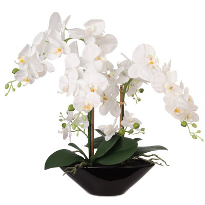 Orchidée phalaenopsis artificielle blanche 21 po dans un vase en céramique noire