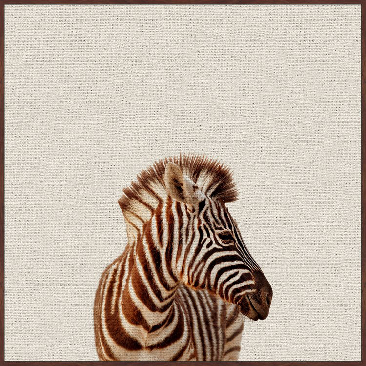 Zebra Side View - Drawing on Canvas, 30cm H x 30cm W x 4cm D